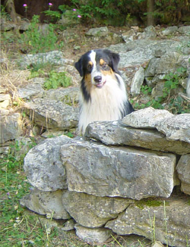 Boogie woogie des Chemins Cathares